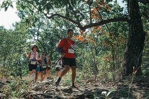 BIB: 
                            <button type="button" onclick="openModal(26115365)" class="btn btn-primary btn-sm float-right btn-popup" data-toggle="modal" data-target=".modal-high-quality">
                        <i class="fas fa-shopping-cart"></i> Add to Cart
                    </button>
                                            <button type="button" onclick="isThisMe(26115365, true)" class="btn btn-success btn-sm float-right btn-popup btn-isme hidden" data-toggle="tooltip" data-placement="bottom" title="นี่คือรูปของคุณใช่ไหม คลิกที่นี่เพื่อเอาเข้าอัลบั้ม">
                        <i class="fas fa-plus"></i> Add to album
                    </button>
                    <button type="button" onclick="isThisMe(26115365, false)" class="btn btn-warning btn-sm float-right btn-popup btn-isnotme hidden">
                        <i class="fas fa-ban"></i> Remove from album
                    </button>